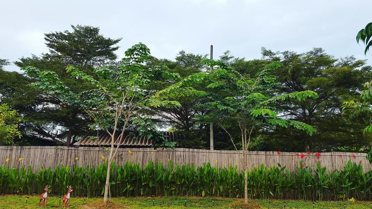 บ้านสวนมีดี ลำพูน Meedee Homestay Lamphun Ban Nong Pla Kho Екстериор снимка