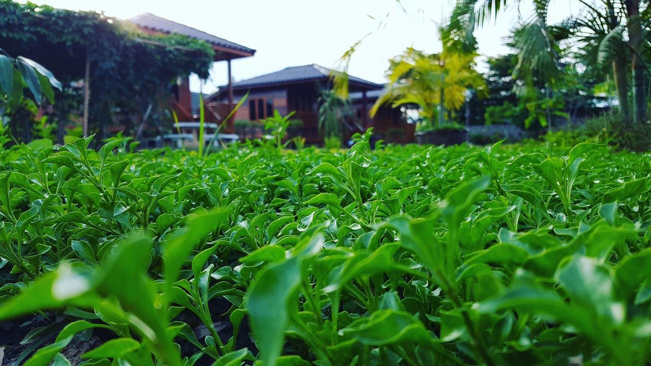 บ้านสวนมีดี ลำพูน Meedee Homestay Lamphun Ban Nong Pla Kho Екстериор снимка
