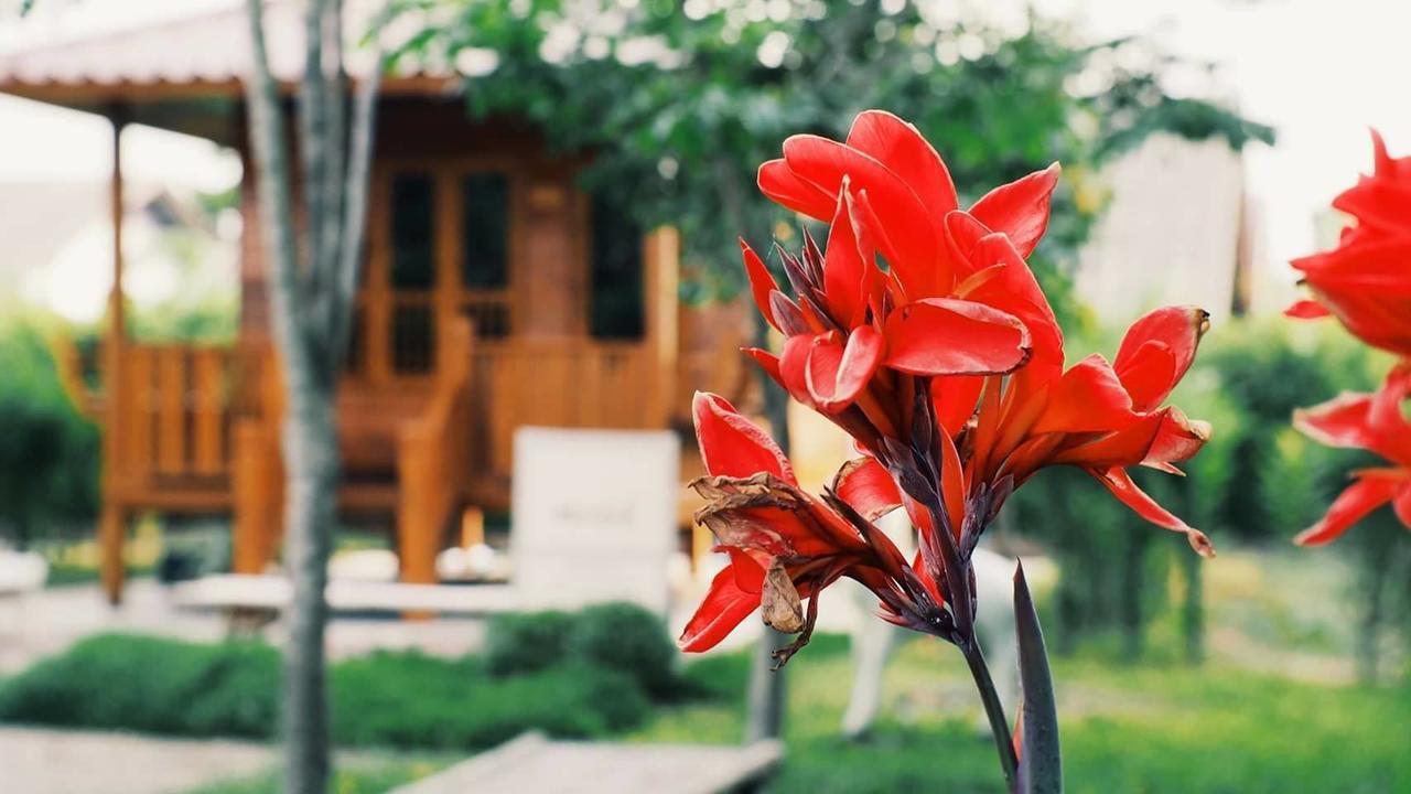 บ้านสวนมีดี ลำพูน Meedee Homestay Lamphun Ban Nong Pla Kho Екстериор снимка